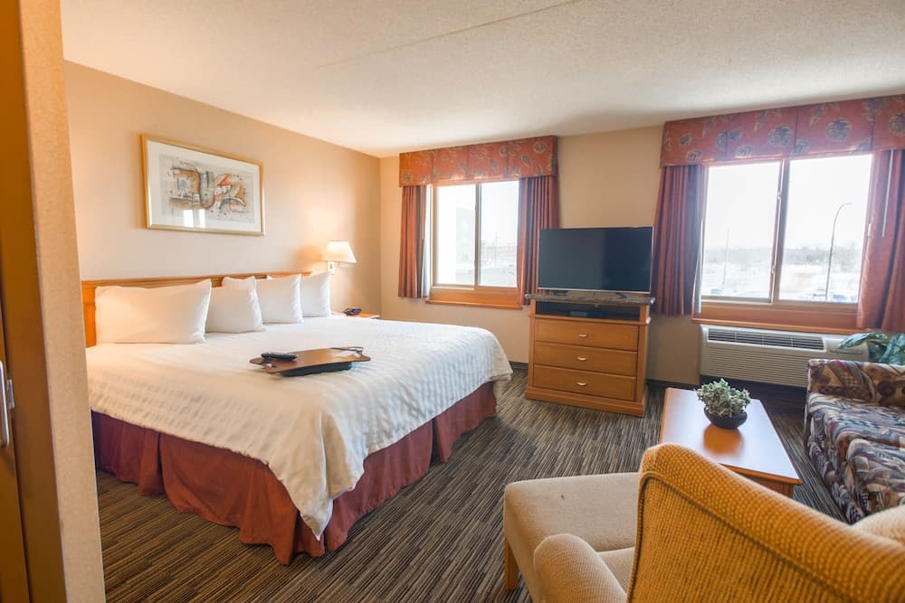 Studio, 1 King Bed with Sofa bed