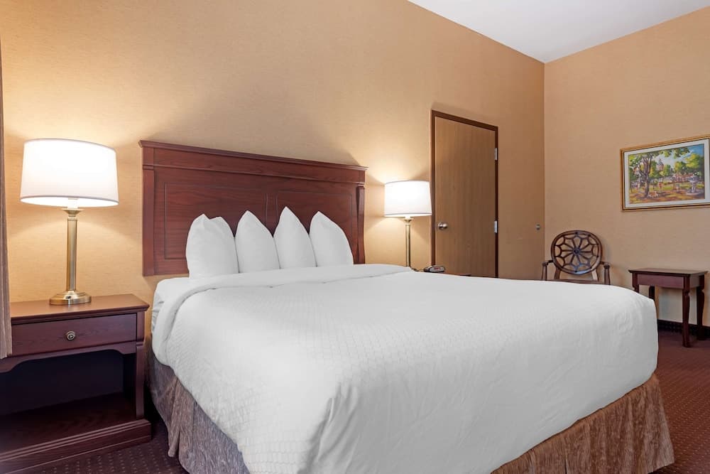 Standard Room, 1 King Bed, Accessible, Refrigerator & Microwave