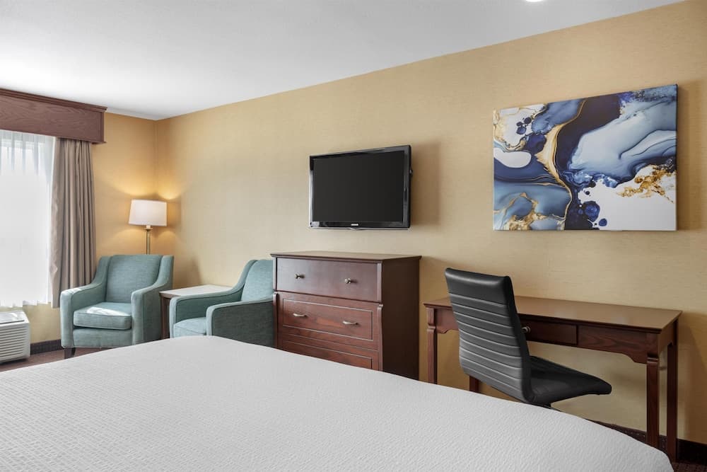 Suite, 1 King Bed, Non Smoking, Kitchenette (with Sofabed)
