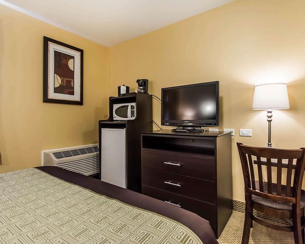 Room, 1 Queen Bed, Non Smoking