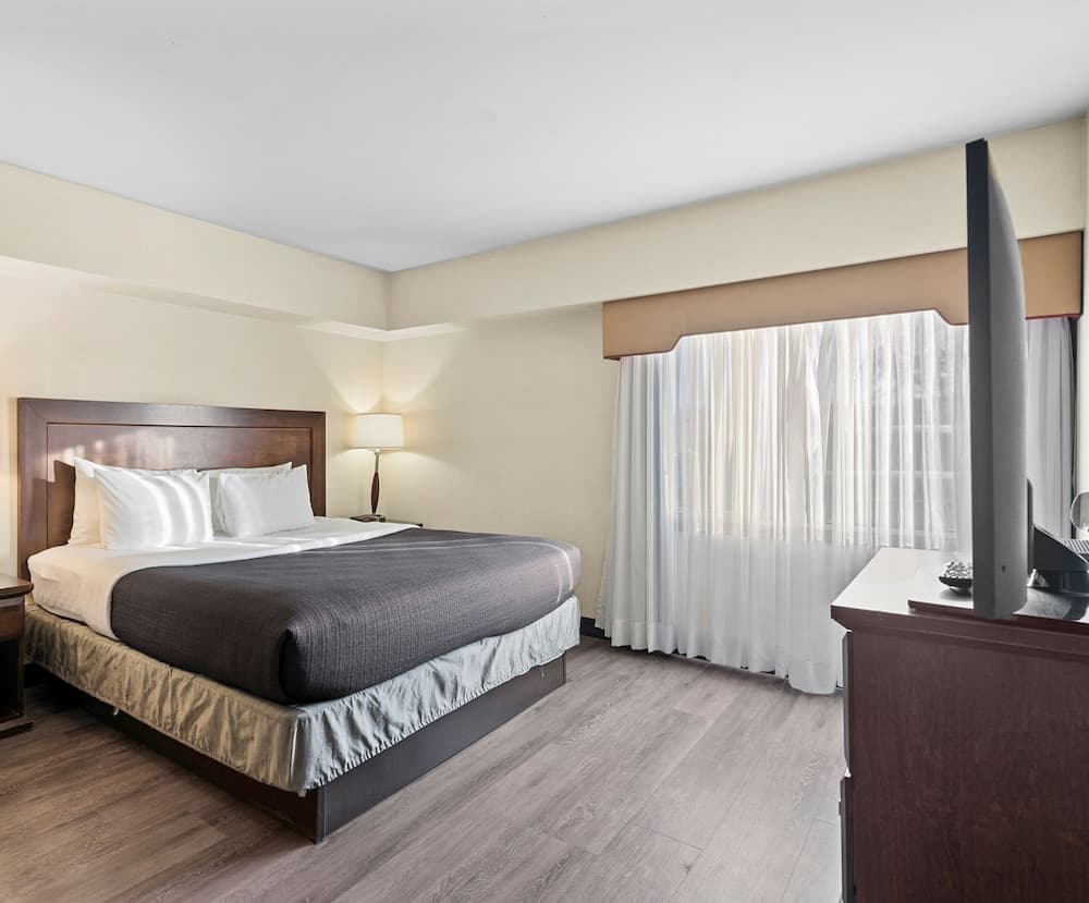 Suite, 1 Bedroom, Non Smoking