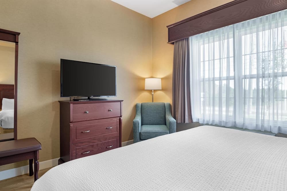Suite, 1 King Bed, Non Smoking, Refrigerator & Microwave (with Sofabed)